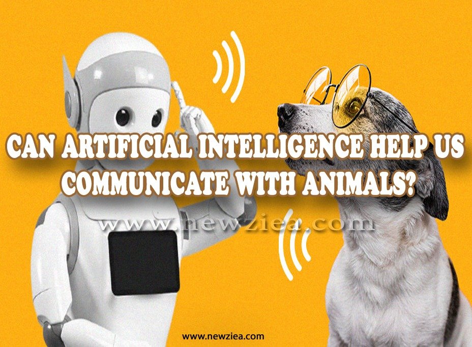 Communicate with animals