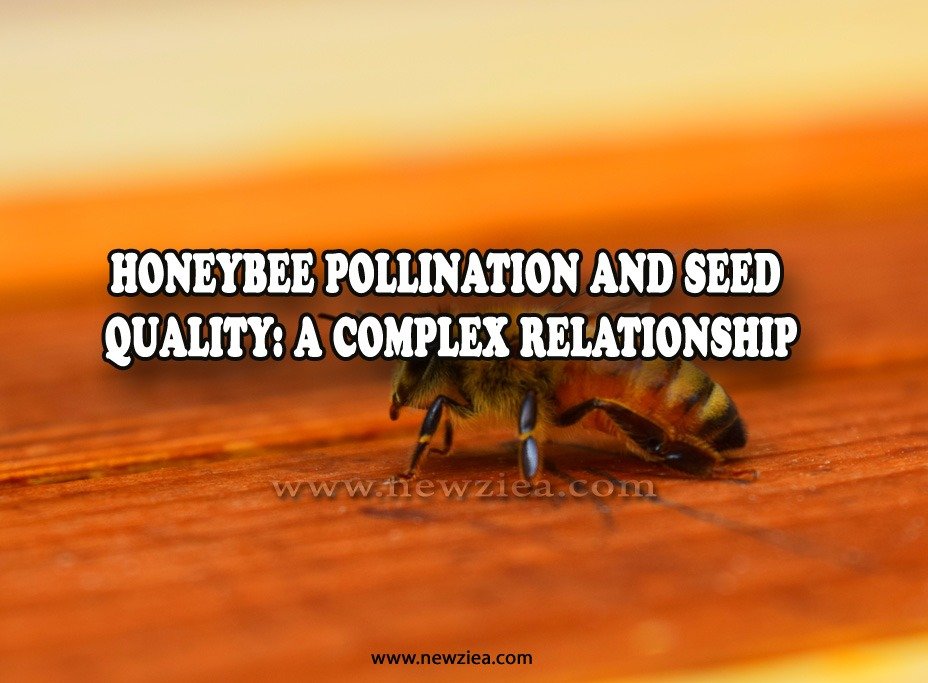 Honeybee Pollination and Seed Quality: A Complex Relationship