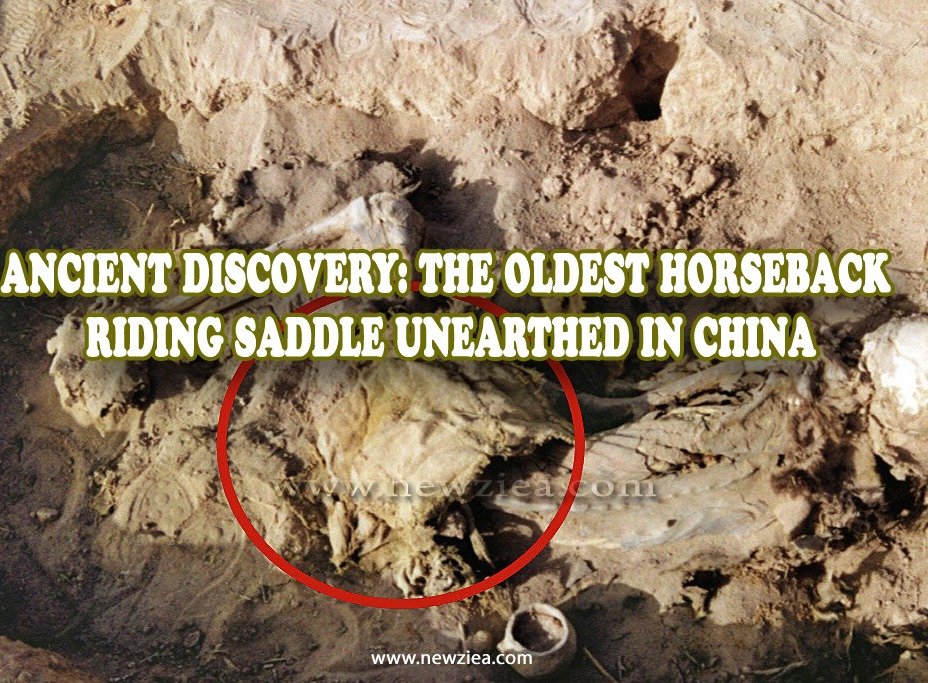 Ancient Discovery: The Oldest Horseback Riding Saddle Unearthed in China