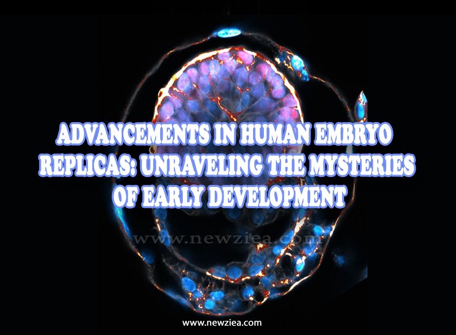 Advancements in Human Embryo Replicas: Unraveling the Mysteries of Early Development