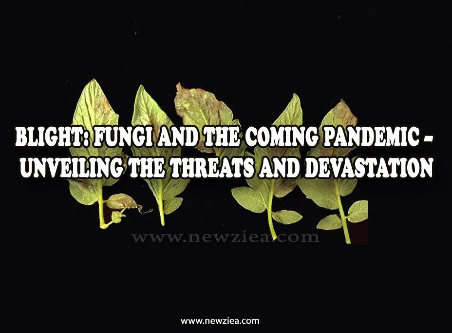 Fungi and the Coming Pandemic