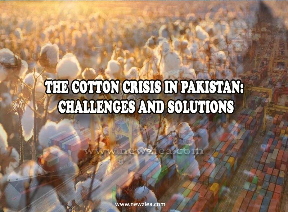 The Cotton Crisis in Pakistan: Challenges and Solutions