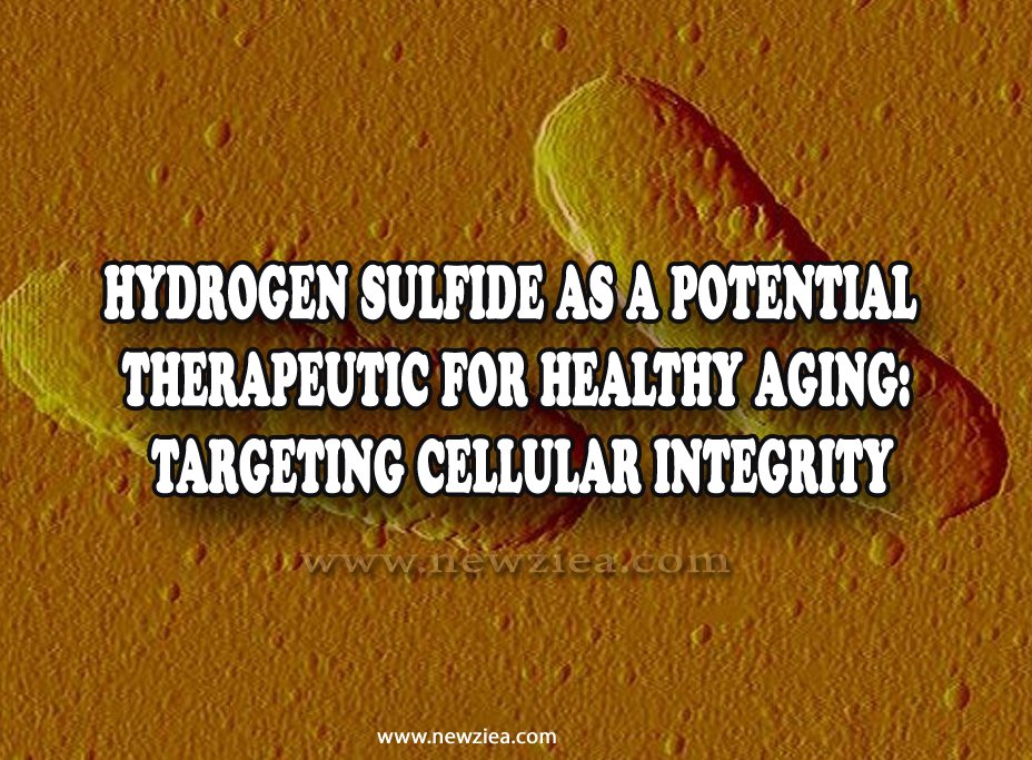 Hydrogen Sulfide as a Potential Therapeutic for Healthy Aging: Targeting Cellular Integrity